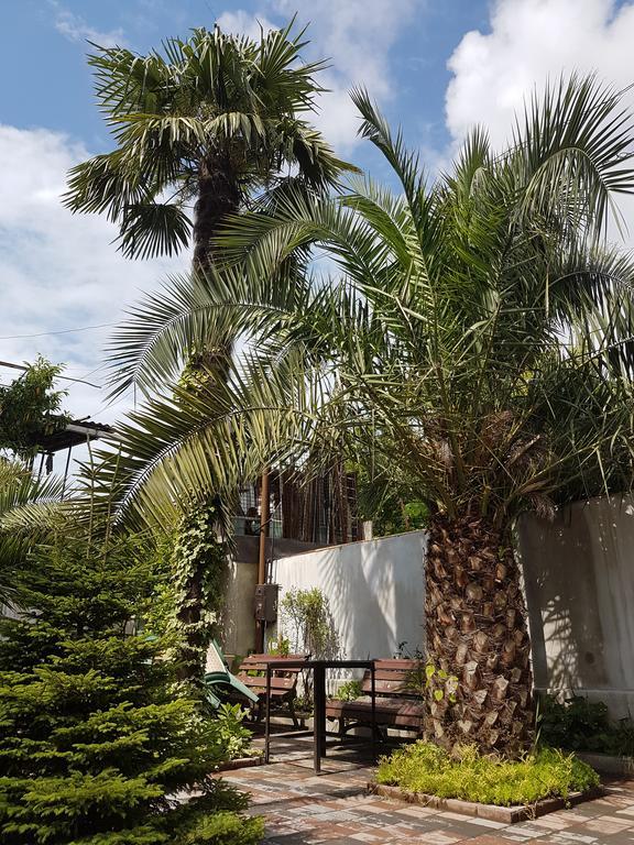 Guesthouse 97 In Batumi バトゥーミ エクステリア 写真